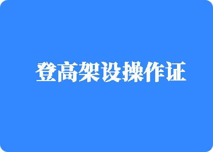 逼被牛子插进去什么感觉登高架设操作证